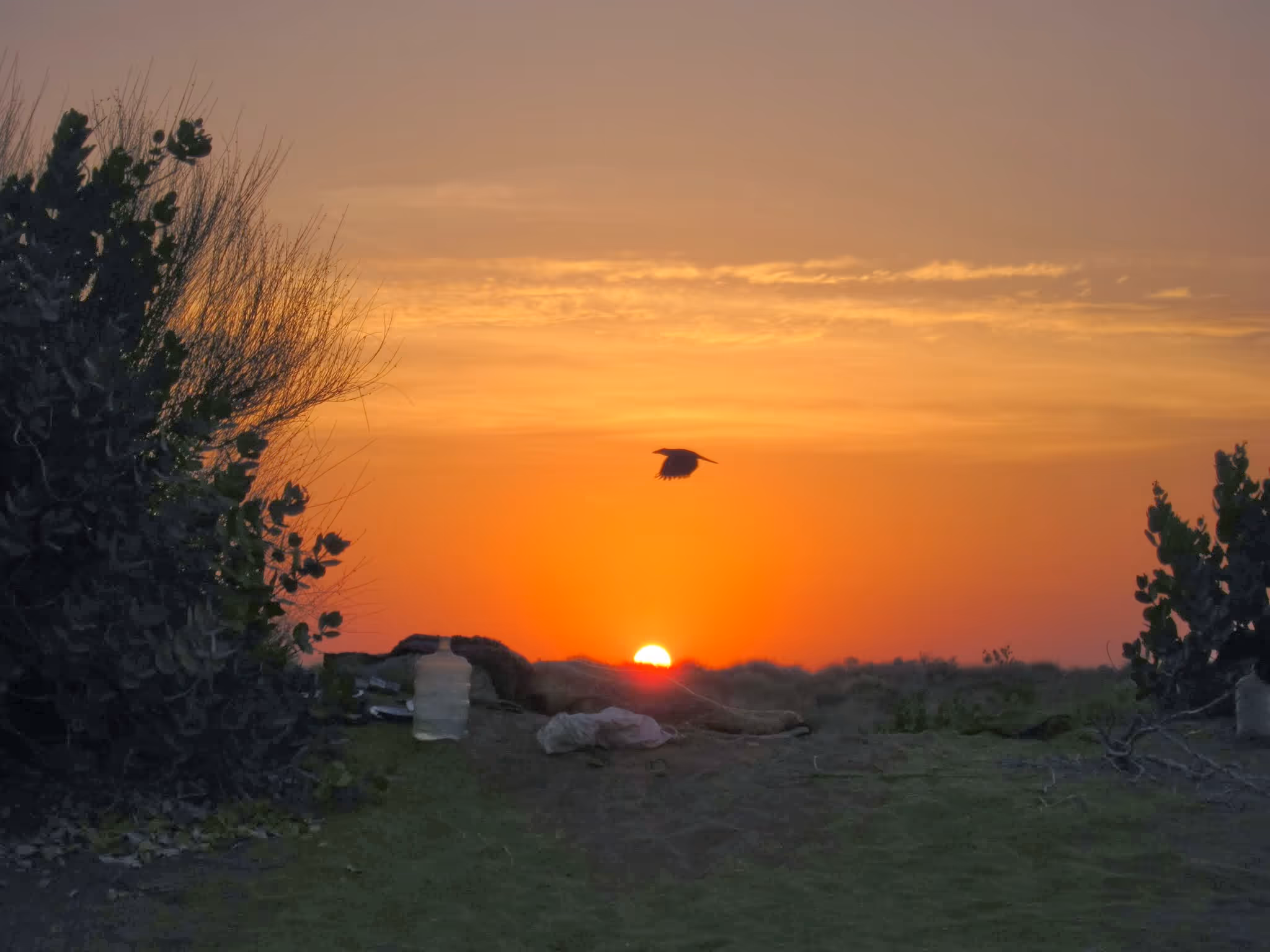 Image 27