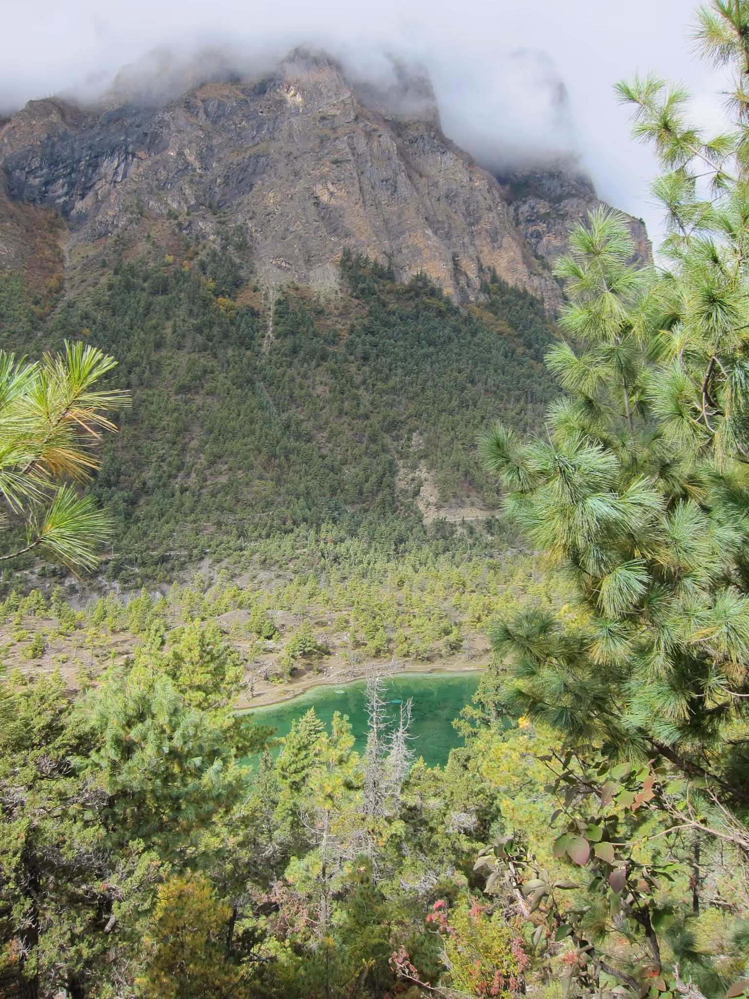 Image 11
