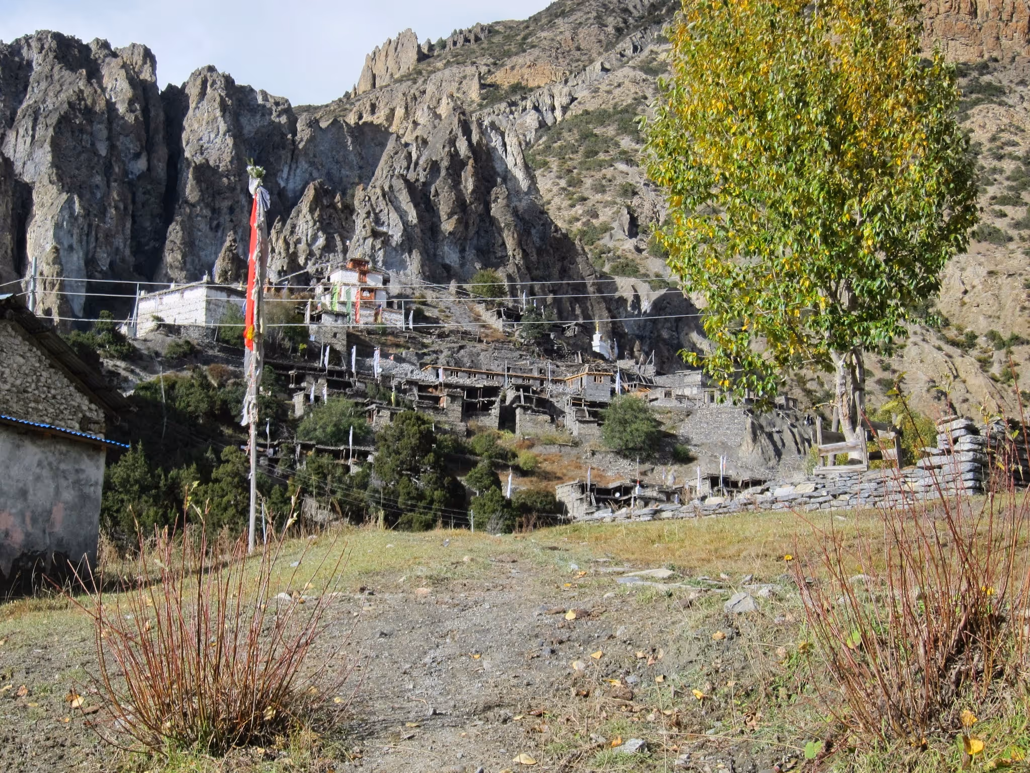 Image 6
