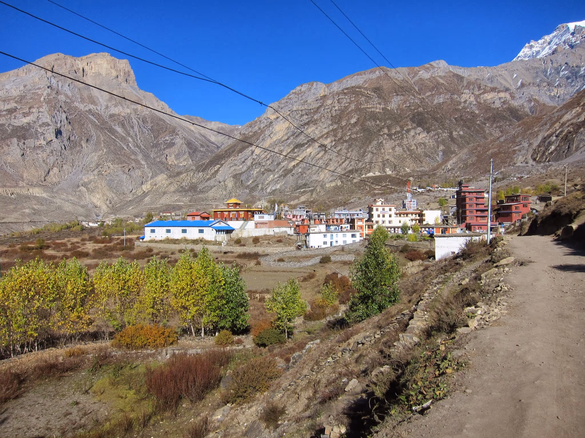 Image 5