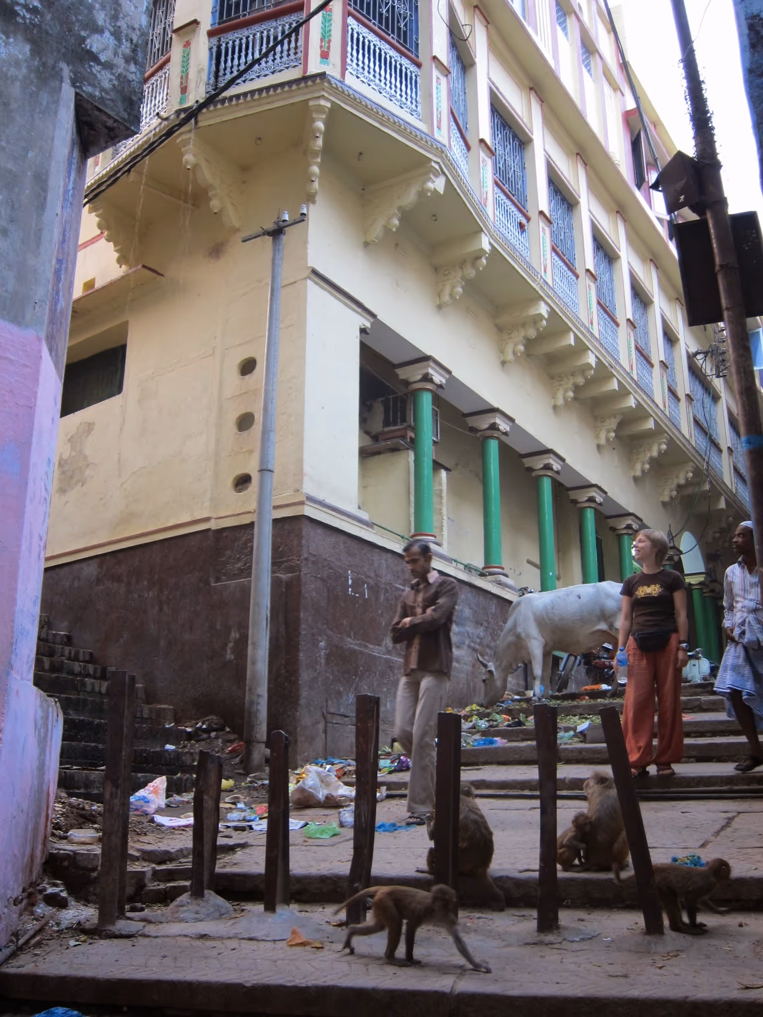 Image 2